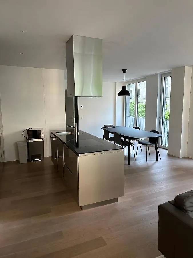 Wohnung Im Trendquartier Zentral - 24-7 Check-In With Keybox Zurich